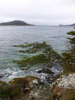 Bahia Ensenada (2)