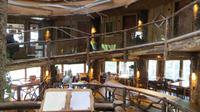 Baumhaushotel Nothofagus in Huilo Huilo