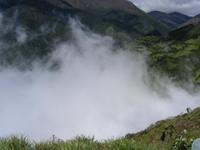 Bergregenwald