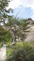 Besucherzentrum Riesenfaultier