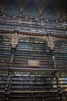Bibliothek Rio