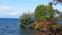 Blick über Llanquihue See mit Vulkan Osorno