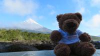 Blick auf den Osorno mit Copa