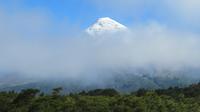 Blick auf den Osorno