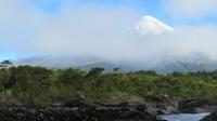 Blick auf den Osorno