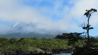 Blick auf den Osorno