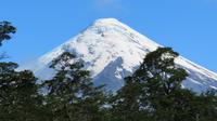 Blick auf den Osorno