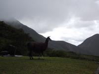 Blick vom Berg Panecillo