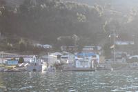 Bolivien - Titicacasee