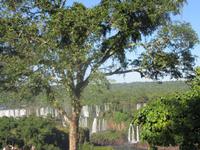 Brasilianische Seite der Iguazu Wasserfälle