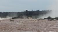 Brasilianische Wasserfälle in Iguaçu