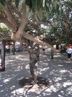 Buenos Aires (27)