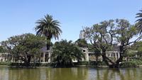 Buenos Aires (Rosengarten)