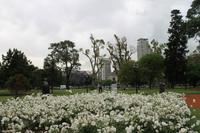 Buenos Aires - Stadtrundfahrt