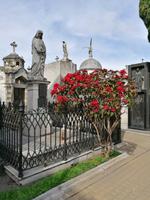 Buenos Aires
