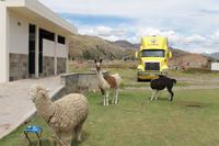Busfahrt von Cusco nach Puno