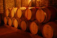 Casa Silva Weingut