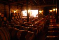 Casa Silva Weingut