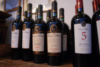 Casa Silva Weingut