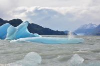 Chile und Osterinsel -  Torres del Paine - Lago Grey (4)