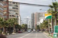 Chile: Vina Del Mar