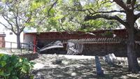 Colonia (Uruguay)