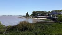 Colonia (Uruguay)
