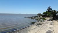 Colonia (Uruguay)