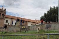 Cusco - Stadtrundgang