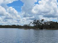 Cuyabeno Reservat - GroÁe Lagune