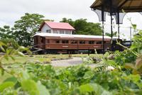DSC08318