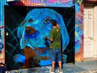 Der blaue Labrador 