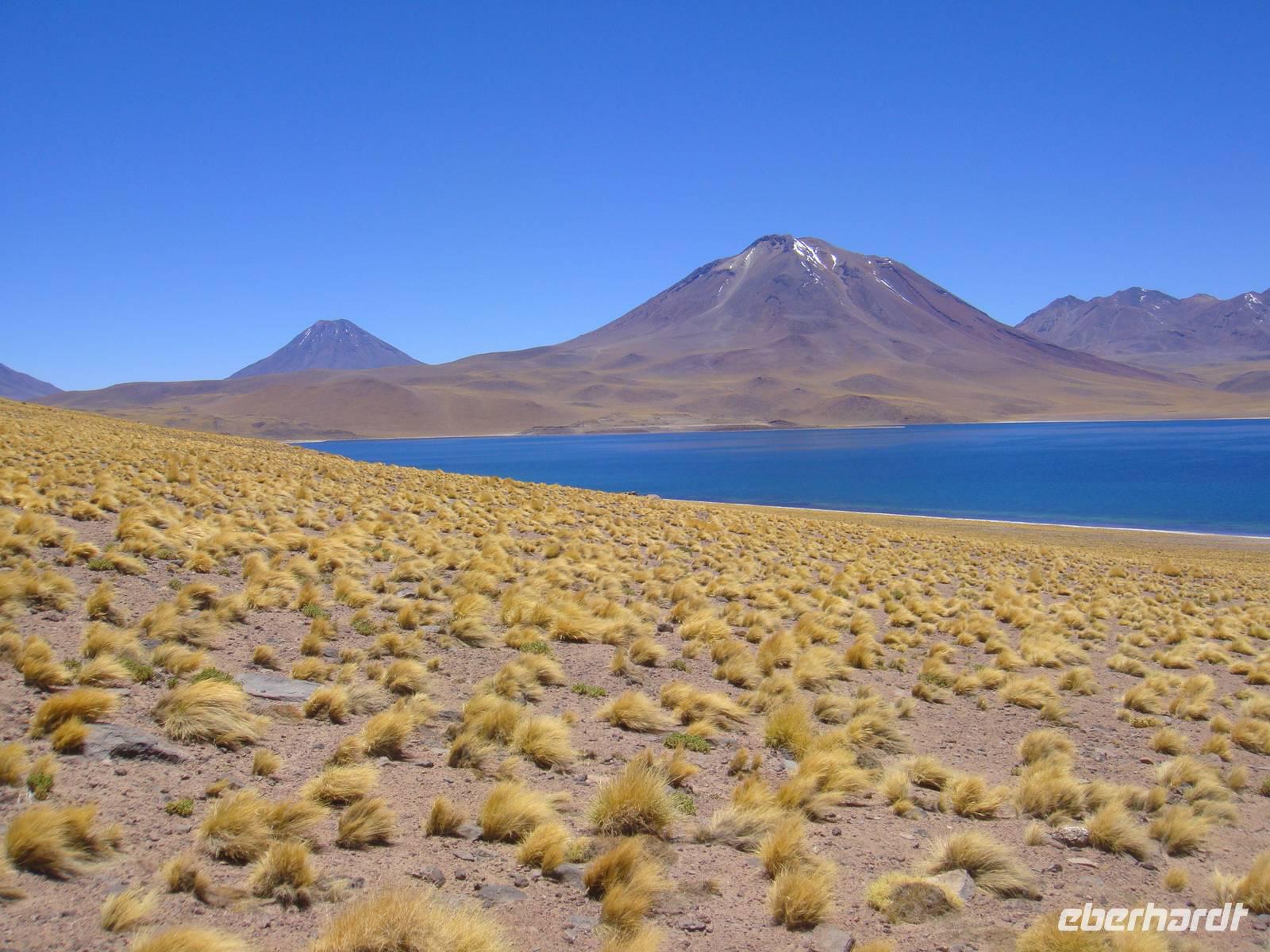 Die Laguna Miscanti