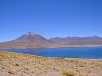 Die Laguna Miscanti