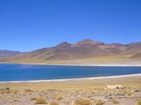 Die Laguna Miscanti