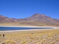 Die Laguna Miscanti