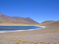 Die Laguna Miscanti