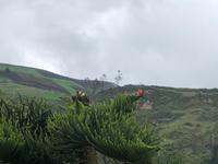 Ecuador
