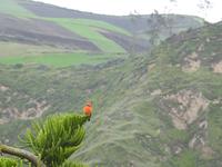 Ecuador