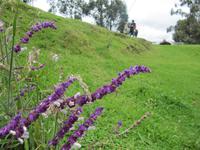 Fahrt nach Otavalo