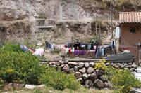 Fahrt von Cusco nach Urubamba & Ollantaytambo - Alpakafarm