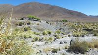 Fahrt von Salta nach San Antonio de los Cobres
