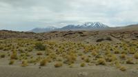 Fahrt zu den Hochlandlagunen, Atacama Wüste
