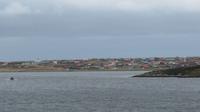 Falkland Insel