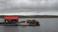 Falkland Insel
