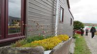 Falkland Insel