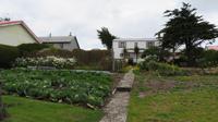 Falkland Insel