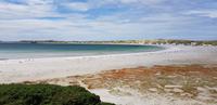 Falkland Inseln - Fahrt zur Gipsy Cove
