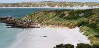 Falkland Inseln - Fahrt zur Gipsy Cove