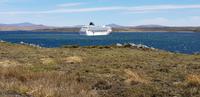 Falkland Inseln - Gipsy Cove
